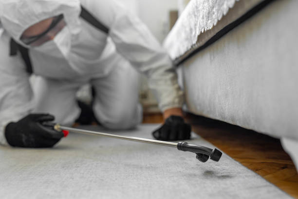 Professional Bed Bug Control technician working in Whitewater, WI